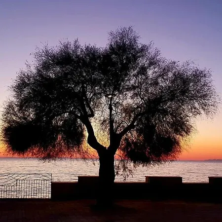Poseidone Salento Com Holiday home *